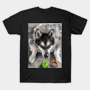 Playful Husky Dog With Toys T-Shirt